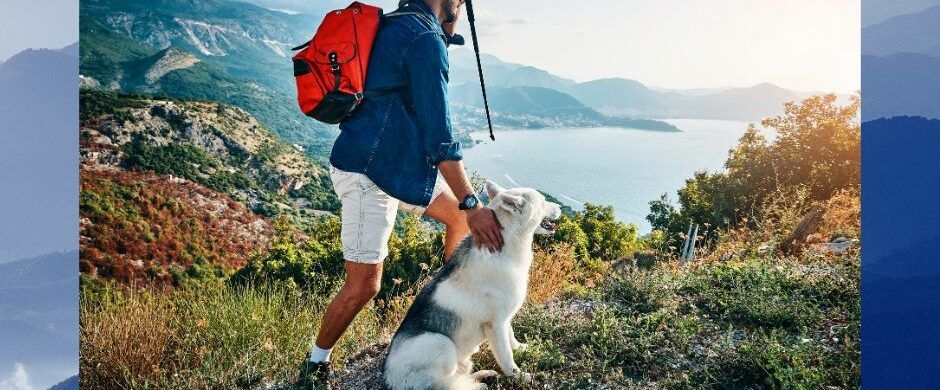 Why Use Dog Travel Itinerary Planning Services?