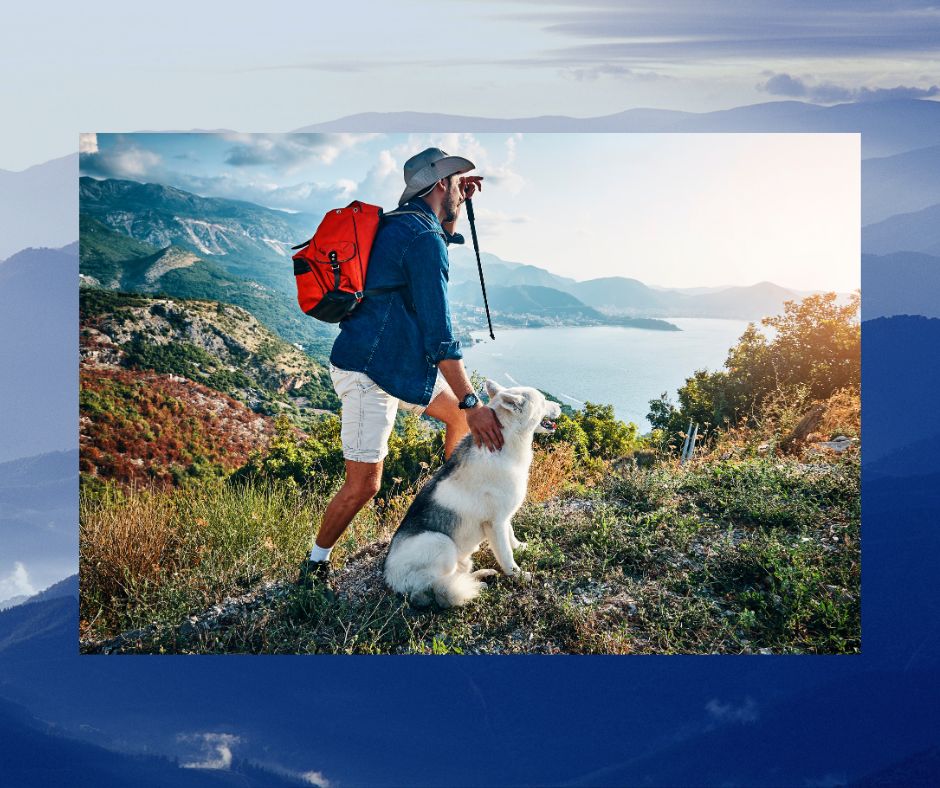 Why Use Dog Travel Itinerary Planning Services?